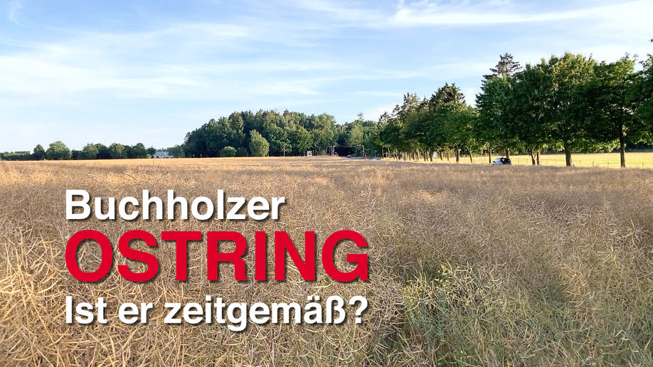 Buchholzer Ostring